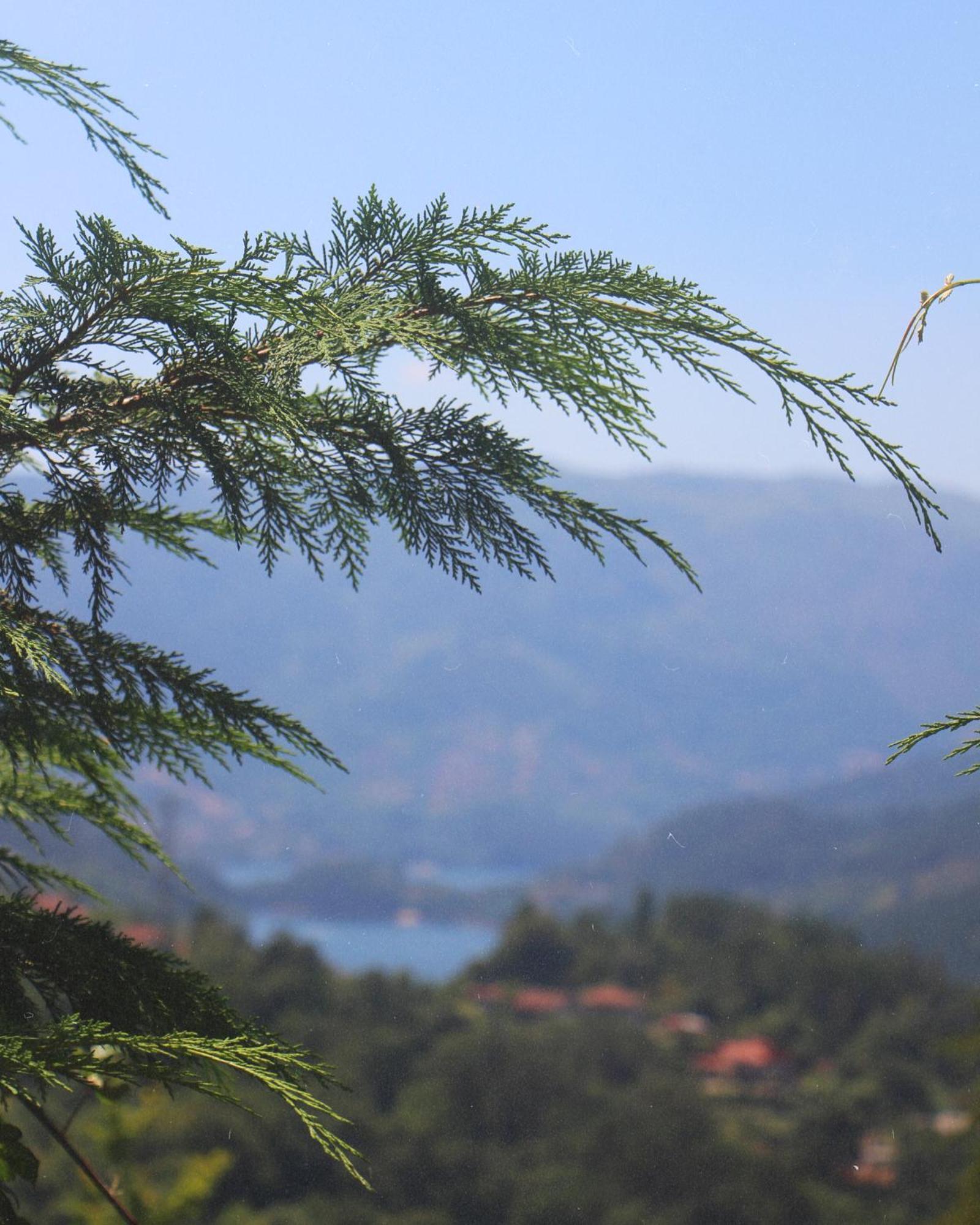 Geres - Aldeia Turistica De Louredo Villa Виейра до Миньо Екстериор снимка